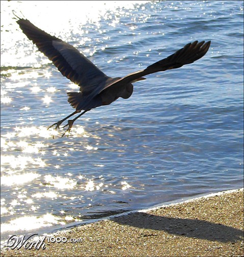 Photography by koalachimbo