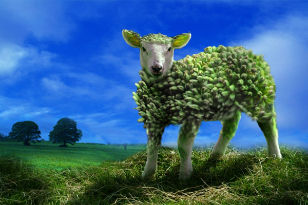 Photoshop Design by WheresMySanity for DesignCrowd (Community Contests) | Design #9079932