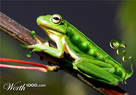 Photoshop Design by Terrence