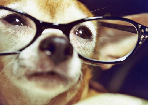Photography by OMT515 for DesignCrowd (Community Contests) | Design #9083589
