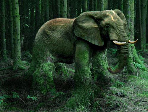 Diseño de Photoshop por Edwardxl para DesignCrowd (Community Contests) | Diseño #9079970