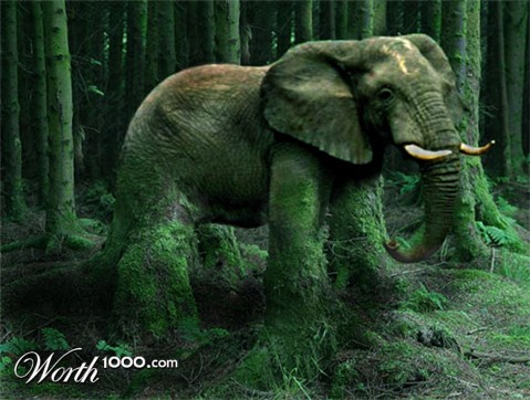 Photoshop Design by Edwardxl