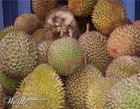 Photoshop Design by philiater1