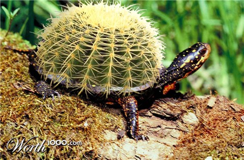 Photoshop Design by spiraleye