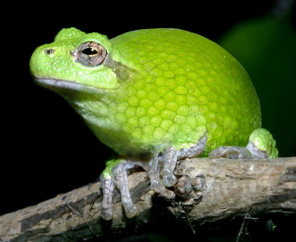 Photoshop Design by ozplasmic for DesignCrowd (Community Contests) | Design #9080000