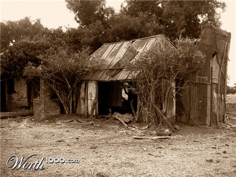 Photography by Budmulla