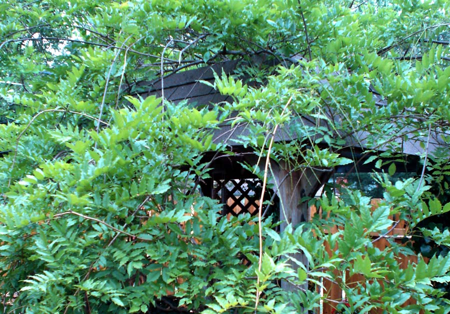 Photography by Meggie for DesignCrowd (Community Contests) | Design #9067855