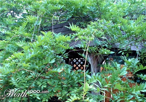 Photography by Meggie