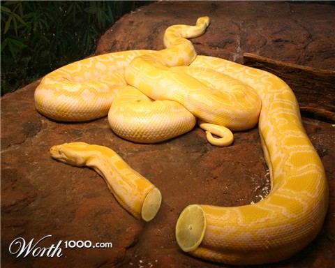 Photoshop Design by diversi0n