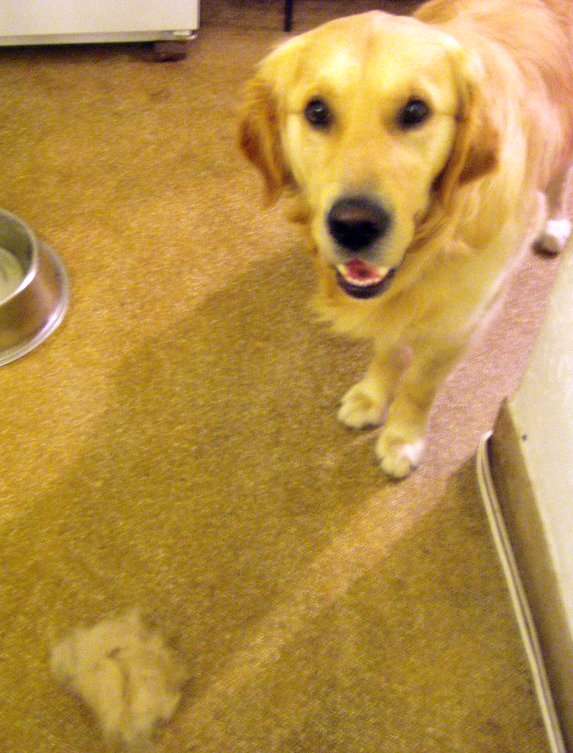 Fotografía por vehpus para DesignCrowd (Community Contests) | Diseño #9083606