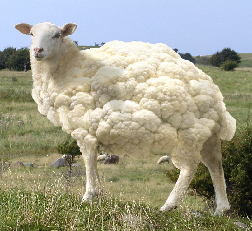 Photoshop Design by Chiboo for DesignCrowd (Community Contests) | Design #9079976