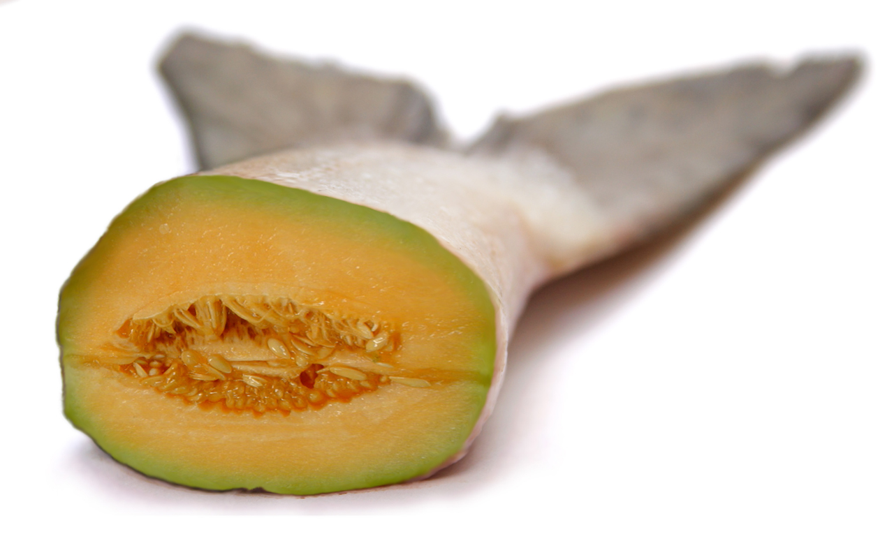 Design Photoshop par Inspirator pour DesignCrowd (Community Contests) | Design #9080046