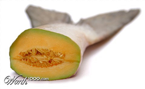 Photoshop Design by Inspirator