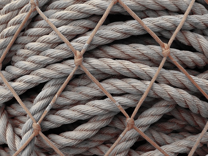 Photographie par KarenC pour DesignCrowd (Community Contests) | Design #9083238