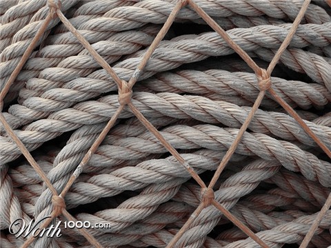 Photography by KarenC