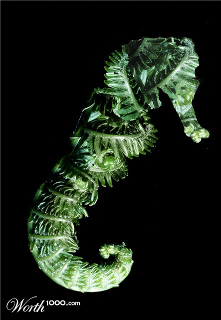Photoshop Design by imacluver