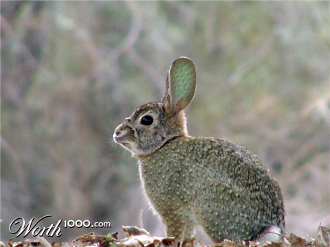 Photoshop Design by CraftLord