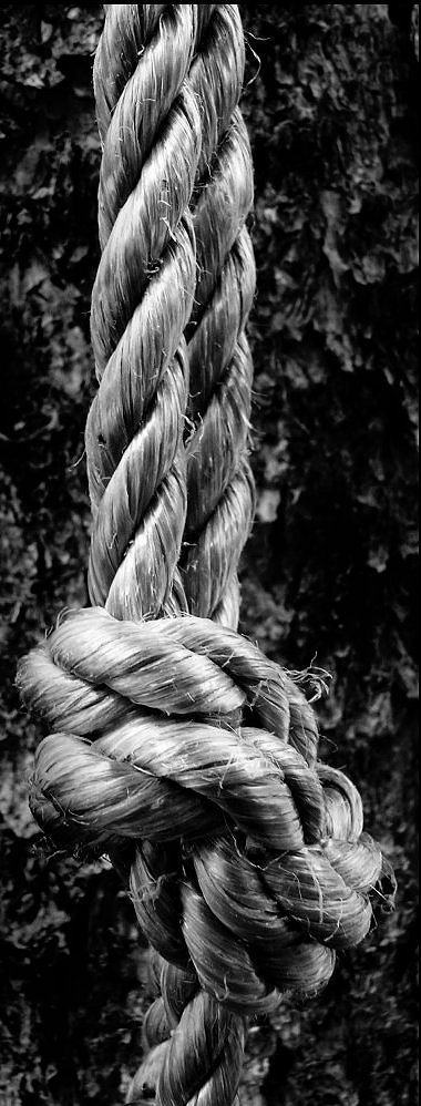 Photography by TaylorButtling for DesignCrowd (Community Contests) | Design #9083273