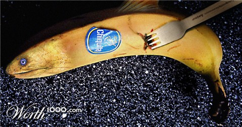 Photoshop Design by eduj65