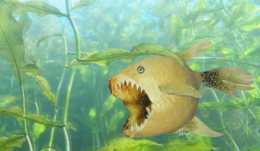 Design Photoshop par jeffbrastile pour DesignCrowd (Community Contests) | Design #9080155