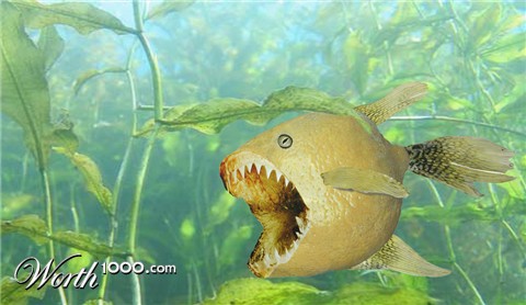 Photoshop Design by jeffbrastile