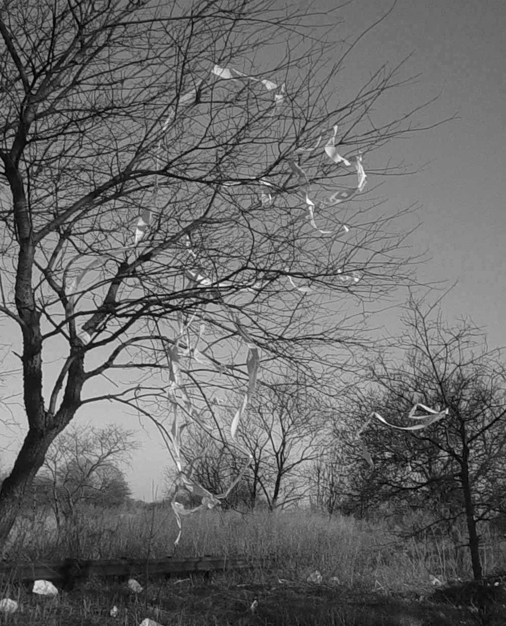 Fotografie von koshermonkey für DesignCrowd (Community Contests) | Design #9067894
