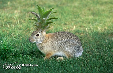 Photoshop Design by whatthe