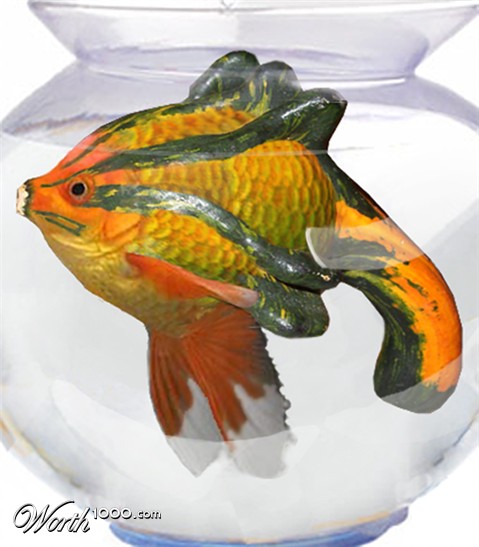 Photoshop Design by Redstar