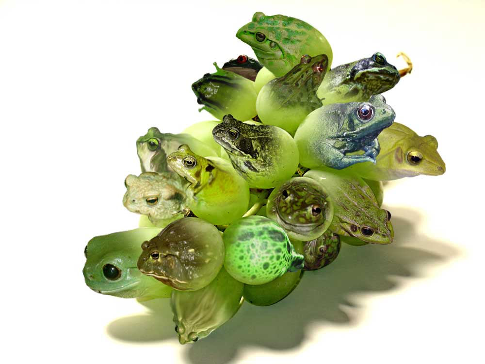 Design Photoshop par MrMouse pour DesignCrowd (Community Contests) | Design #9080195