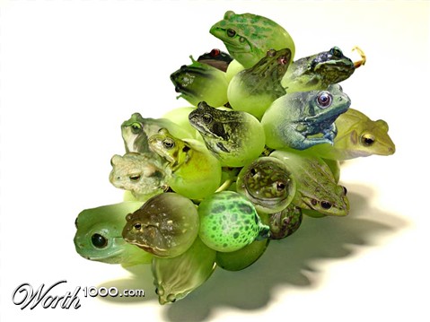 Photoshop Design by MrMouse