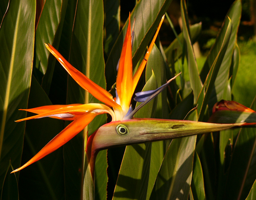 Diseño de Photoshop por mayfae para DesignCrowd (Community Contests) | Diseño #9080097