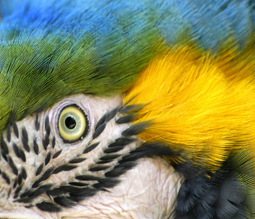 Photography by josephzl for DesignCrowd (Community Contests) | Design #9087180