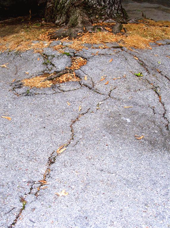 Photography by Chupakabra for DesignCrowd (Community Contests) | Design #9067876