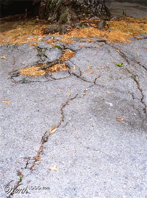 Photography by Chupakabra