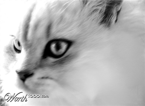 Photography by isabellaleung