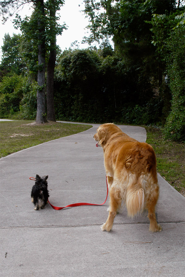 Fotografie von Fishcat für DesignCrowd (Community Contests) | Design #9083681