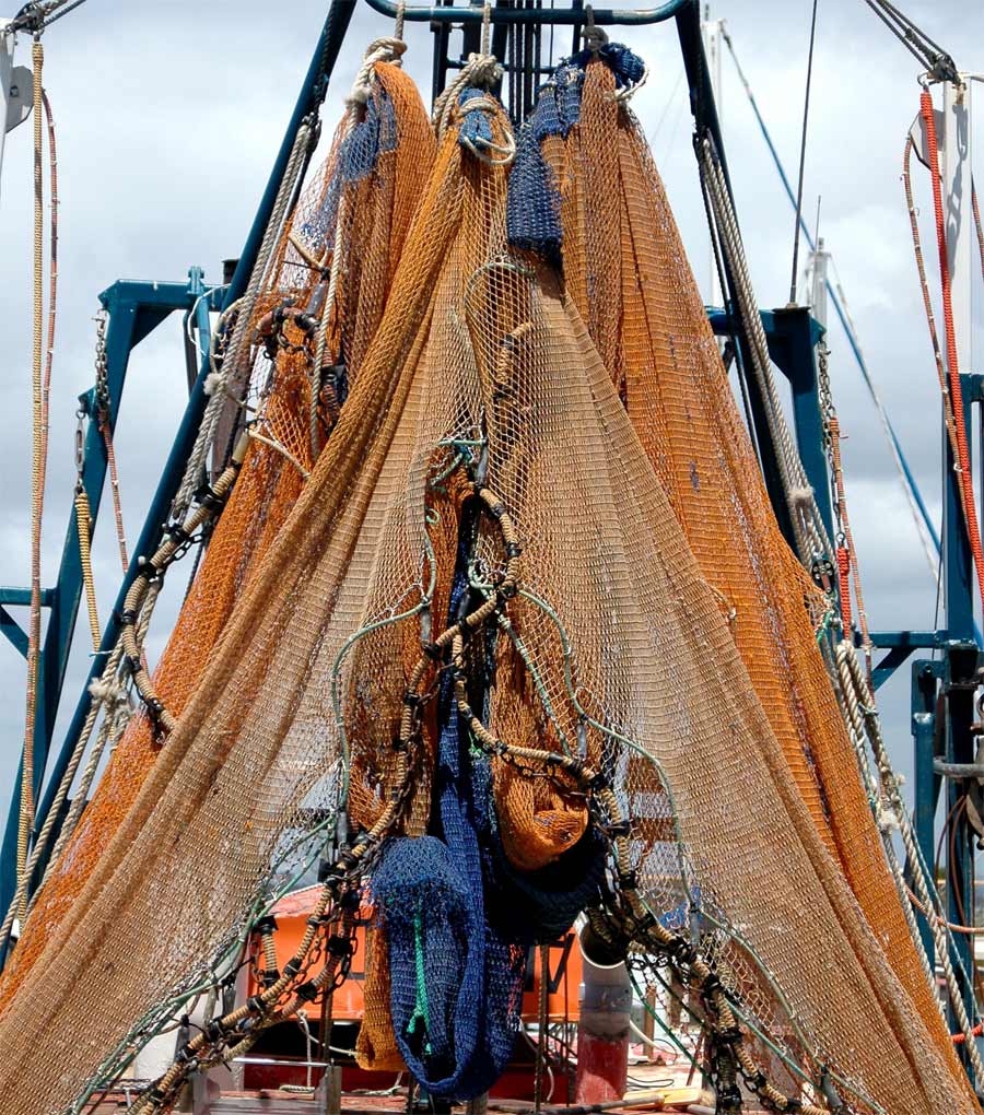 Photography by ozplasmic for DesignCrowd (Community Contests) | Design #9083270