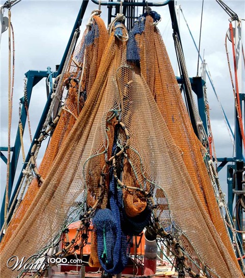 Photography by ozplasmic