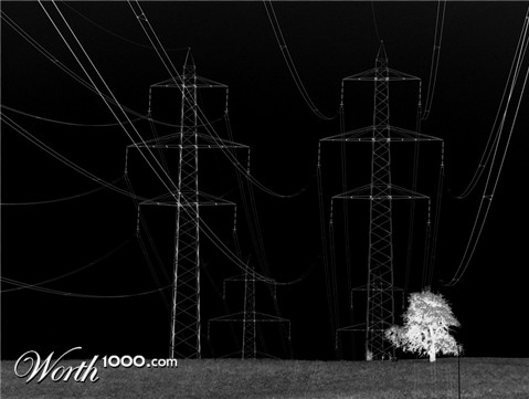 Photography by klemmg