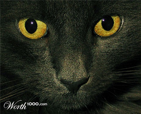 Photography by Anabole