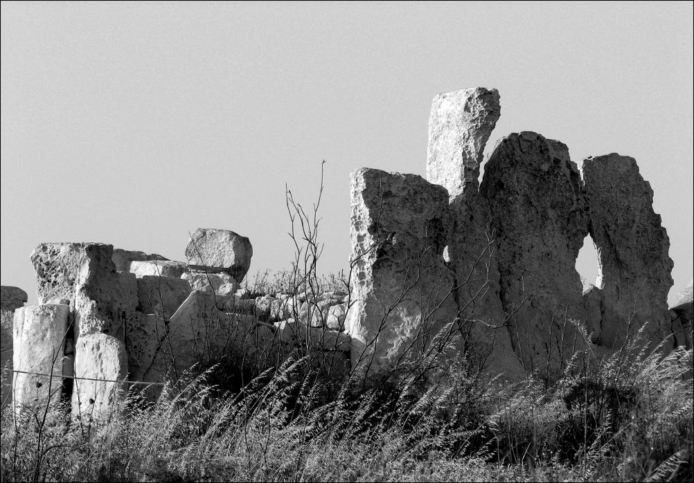 Photography by artissa for DesignCrowd (Community Contests) | Design #9067890