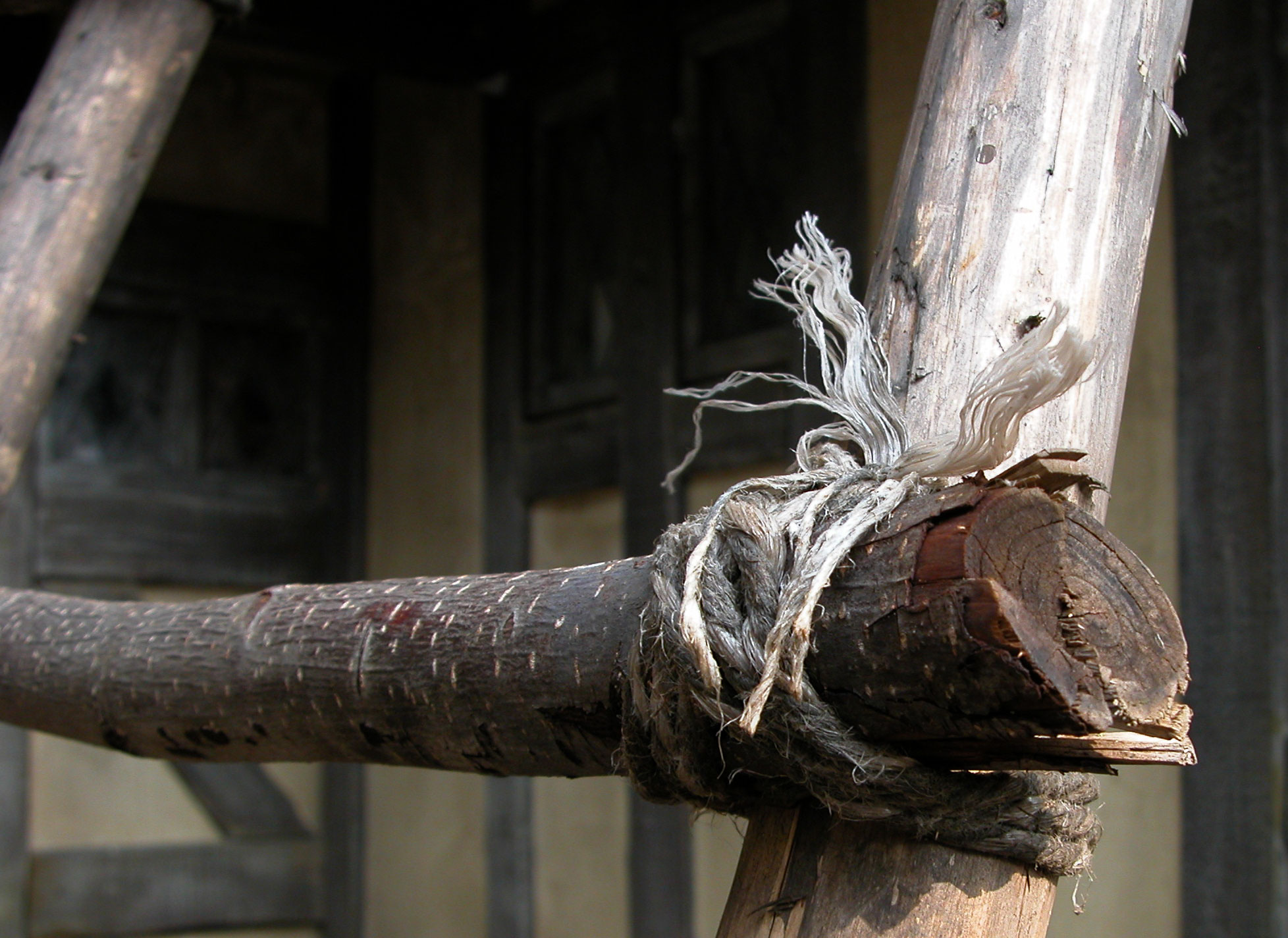 Photography by leo for DesignCrowd (Community Contests) | Design #9083251