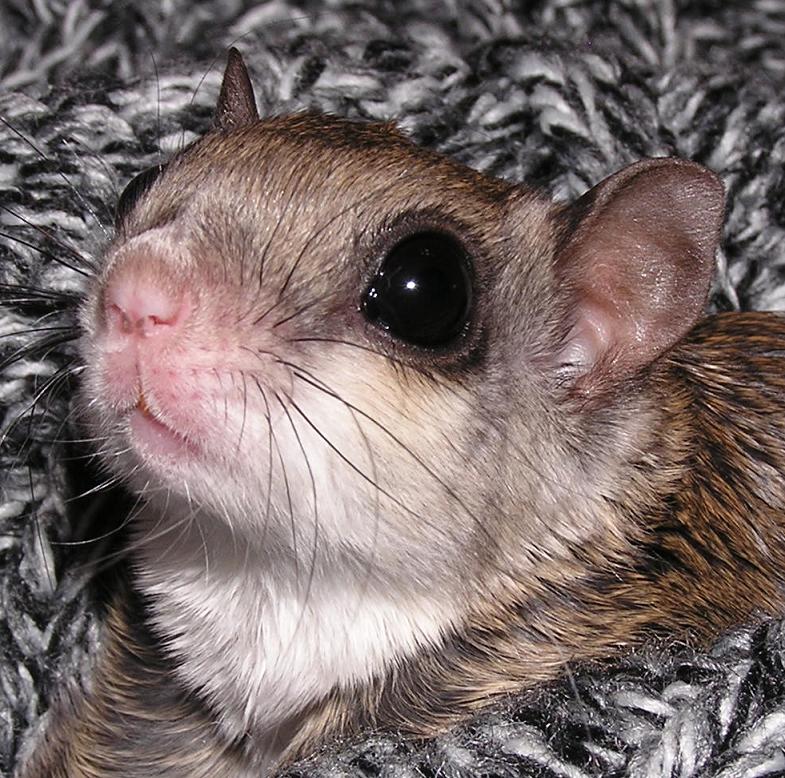 Photography by parablegirl for DesignCrowd (Community Contests) | Design #9087404