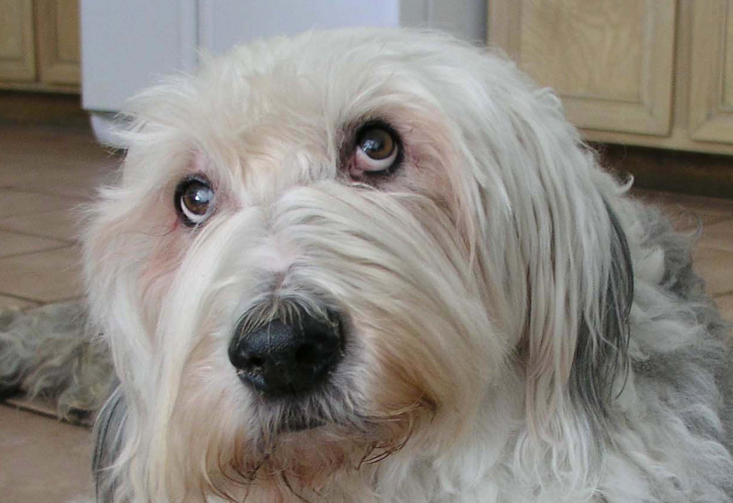 Photography by UPUPUP for DesignCrowd (Community Contests) | Design #9087303