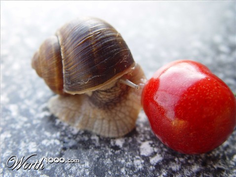 Photography by klemmg