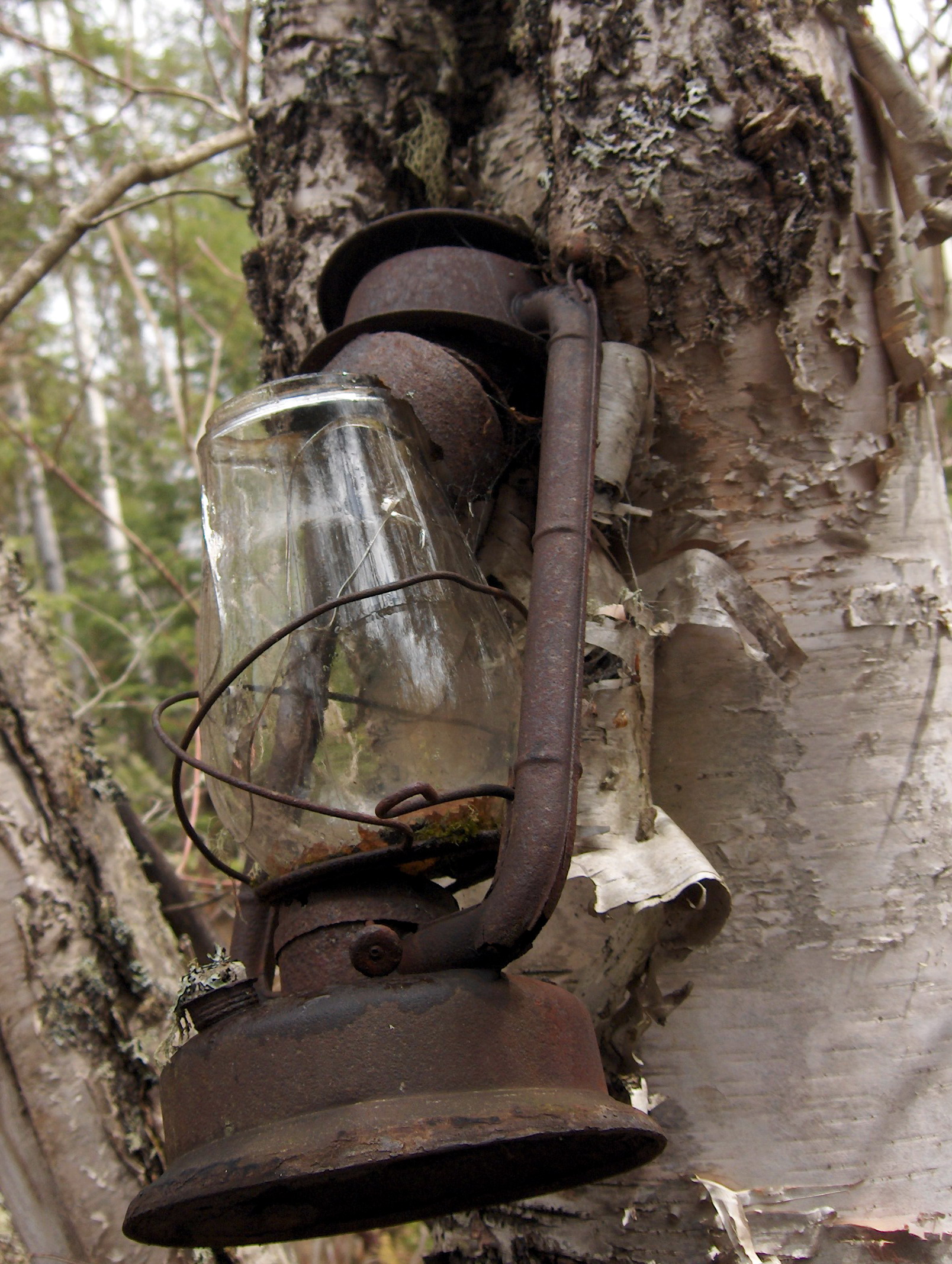 Photography by UNIquelyCanadian for DesignCrowd (Community Contests) | Design #9067891