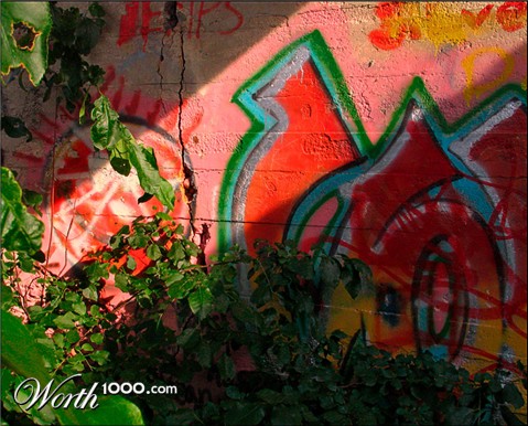 Photography by ELBradenabra