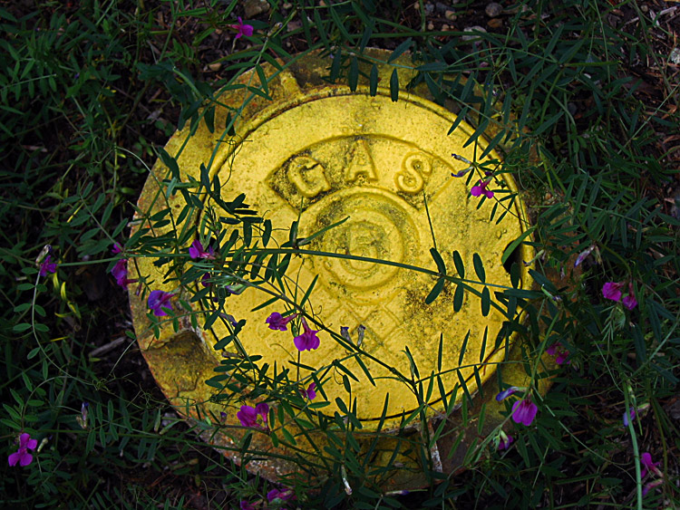 Photographie par toadclipper pour DesignCrowd (Community Contests) | Design #9067935