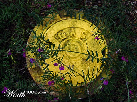 Photography by toadclipper