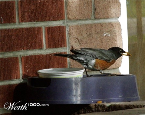 Photography by mmc9496